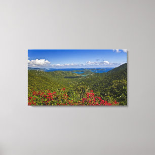 A scenic of Cruse Bay, St. John U.S Virgin Canvas Print