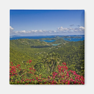 A scenic of Cruse Bay, St. John U.S Virgin Magnet