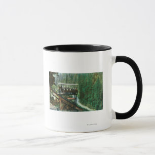 A Scenic Railway Along the Sacramento River Mug