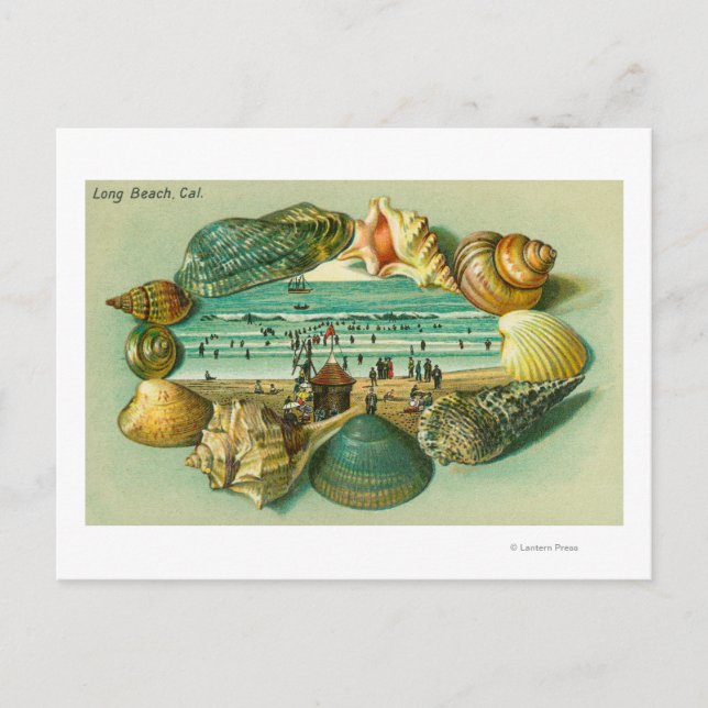 A Scenic View Bordered with Sea Shells Postcard (Front)