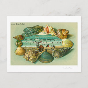 A Scenic View Bordered with Sea Shells Postcard