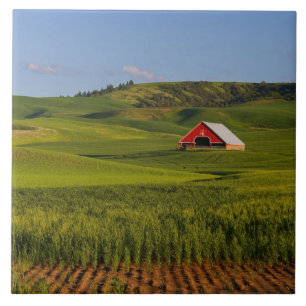 A scenic view of a barn in Moscow Idaho. Tile