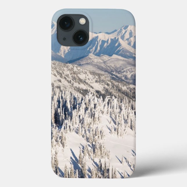 A Scenic View of Snowy Mountains and Trees. Case-Mate iPhone Case (Back)