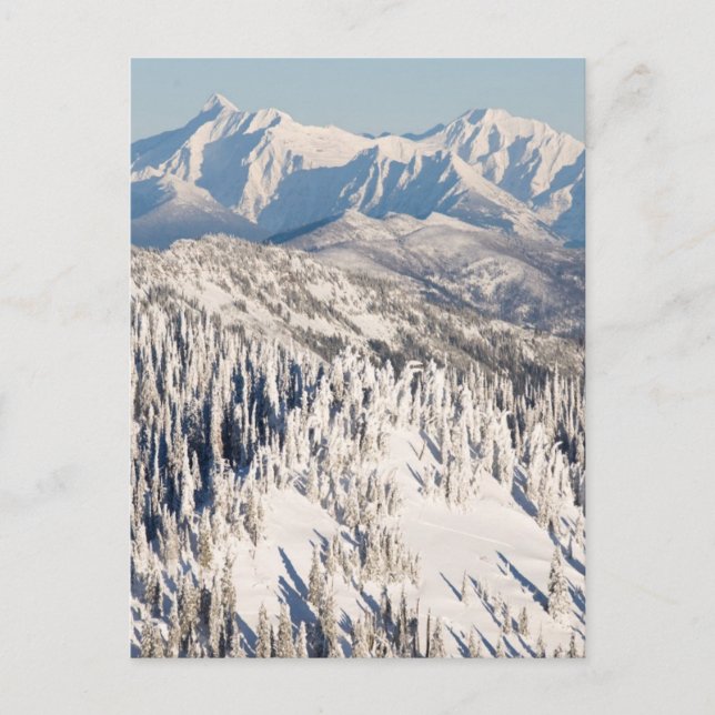 A Scenic View of Snowy Mountains and Trees. Postcard (Front)