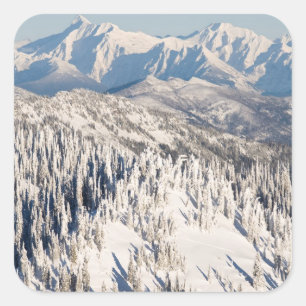 A Scenic View of Snowy Mountains and Trees. Square Sticker