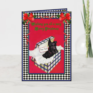A Schnauzer Christmas Holiday Card