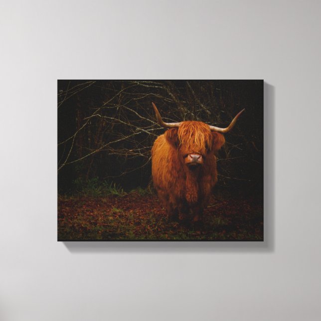 A Scottish Highland Cow Canvas Print (Front)