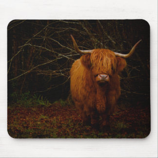 A Scottish Highland Cow Mouse Mat