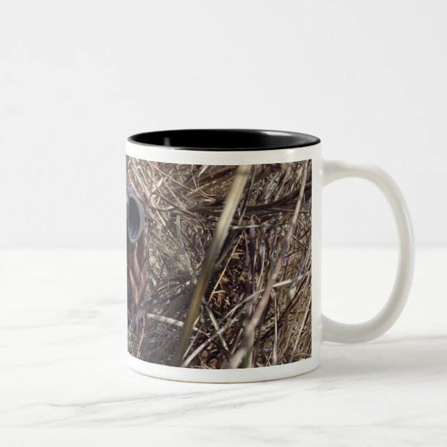 A scout observer practices observation techniqu 2 Two-Tone coffee mug (Right)