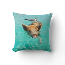 A sea gull and a pig