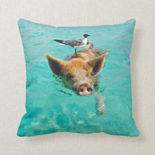 A sea gull and a pig cushion
