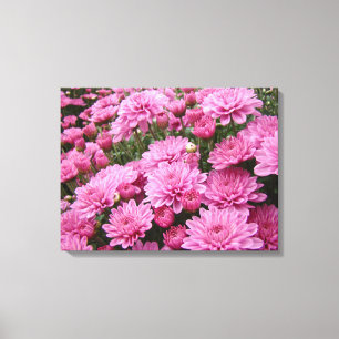 A Sea of Pink Chrysanthemums #2 Canvas Print