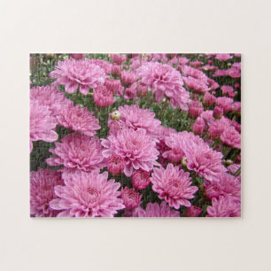 A Sea of Pink Chrysanthemums #2 Jigsaw Puzzle