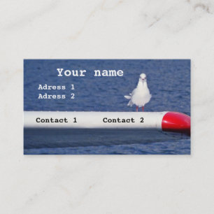 A seagull on an aeroplane - Business Cards