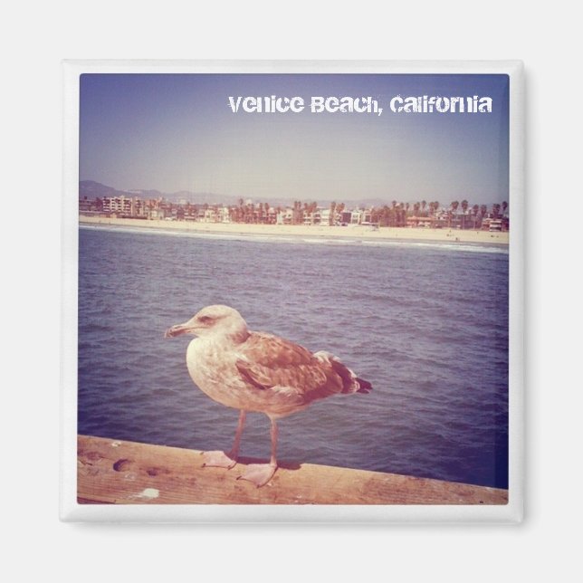 a seagull's life magnet (Front)