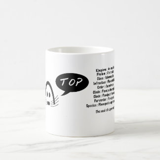 a seal of approval, pinnepedia approbatione. coffee mug