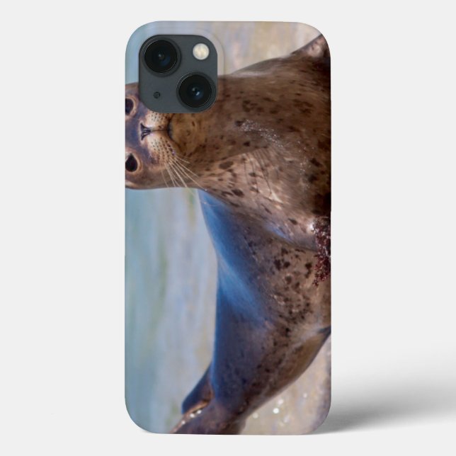 A seal on a beach along the Pacific Coast Case-Mate iPhone Case (Back)