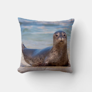 A seal on a beach along the Pacific Coast Cushion