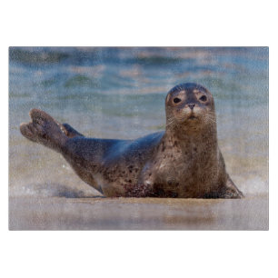 A seal on a beach along the Pacific Coast Cutting Board