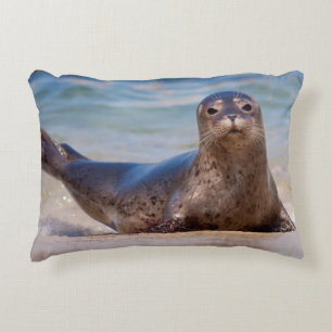 A seal on a beach along the Pacific Coast Decorative Cushion