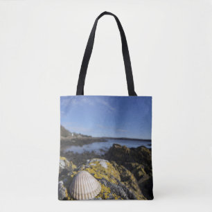 A Seashell Sits On A Rock   Dumfries, Scotland Tote Bag
