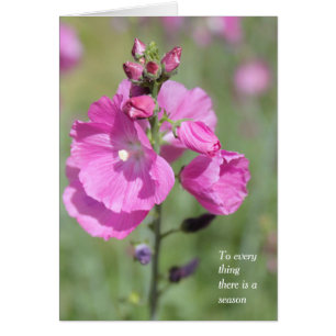 A Season and Time Hollyhock All Occasion