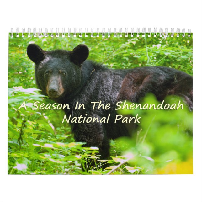 A Season In Shenandoah Nat. Park Raven Version Calendar (Cover)