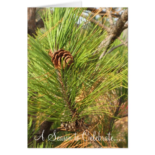 A Season to Celebrate... (Front)