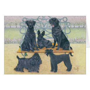 A seat in the park