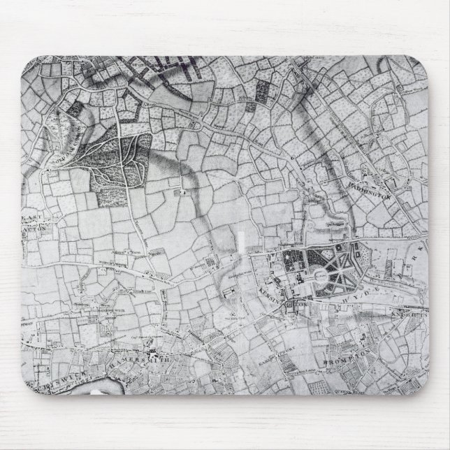 A section of a sheet from the survey mouse mat (Front)