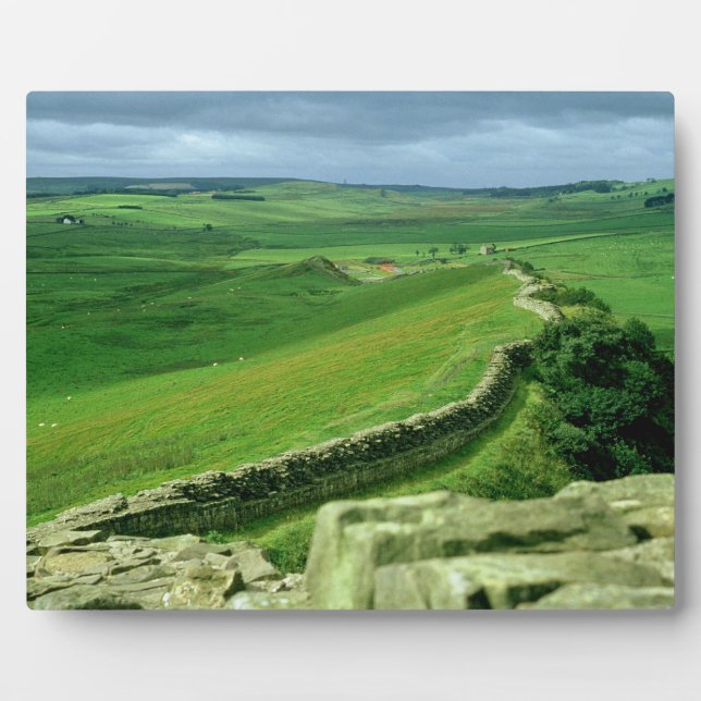 A section of Hadrian's Wall, 2nd century AD (stone Plaque (Front)