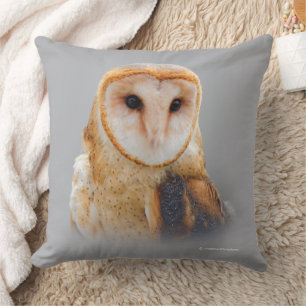 A Serene and Beautiful Barn Owl Cushion