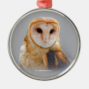 A Serene and Beautiful Barn Owl Metal Tree Decoration