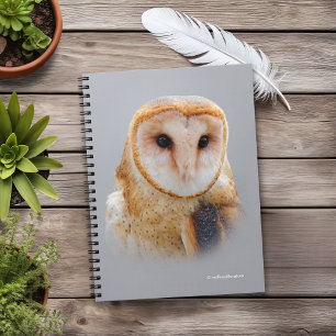 A Serene and Beautiful Barn Owl Notebook