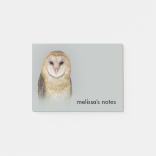 A Serene and Beautiful Barn Owl Post-it Notes