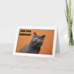 A SERIOUS CAT SAYS "HAPPY 40th BIRTHDAY" Card<br><div class="desc">THANK YOU FOR STOPPING BY ONE OF MY EIGHT STORES!</div>