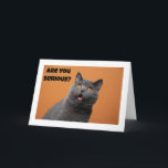 A SERIOUS CAT SAYS "HAPPY 70th BIRTHDAY" Card<br><div class="desc">THANK YOU FOR STOPPING BY ONE OF MY EIGHT STORES!</div>