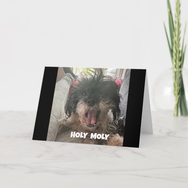 A SERIOUS DOG SAYS "HAPPY 40th BIRTHDAY" Card (Front)