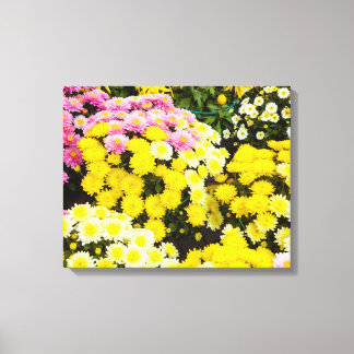 A set of white, yellow and purple chrysanthemums   canvas print