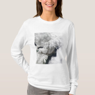 A severe winter storm T-Shirt