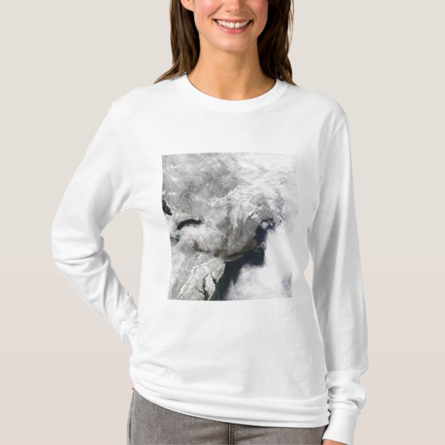 A severe winter storm T-Shirt (Front)