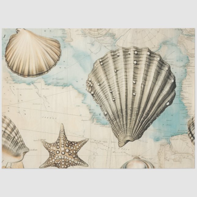 A Shabby Chic Nautical Series Design 15 Tissue Paper (Front)