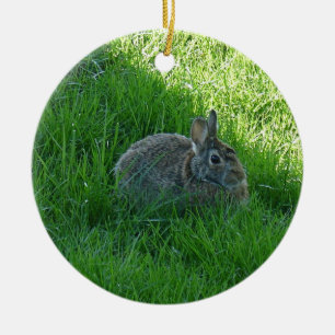 A Shady Bunny Ceramic Tree Decoration