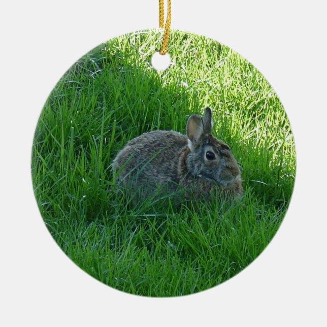 A Shady Bunny Ceramic Tree Decoration (Front)