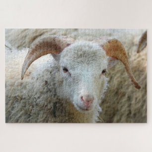 A sheep with horns Puzzle