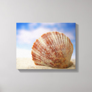 A Shell Propped In The Sand Canvas Print