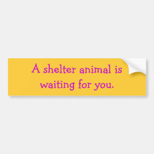 A shelter animal iswaiting for you. bumper sticker