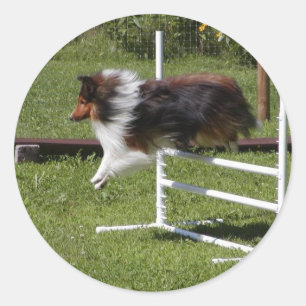 A Sheltie Clears the Bar Classic Round Sticker