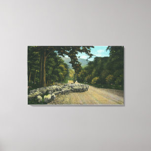 A Shepherd Leading Sheep on a Maine Highway Canvas Print
