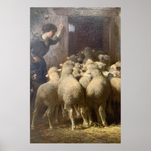  A Shepherdess, Her Dog, and Sheep in Barn Poster
